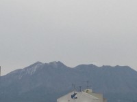 IMG_4356